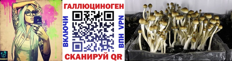 Псилоцибиновые грибы Magic Shrooms Мамоново