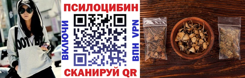 shop Telegram  Мамоново  Псилоцибиновые грибы Psilocybine cubensis 